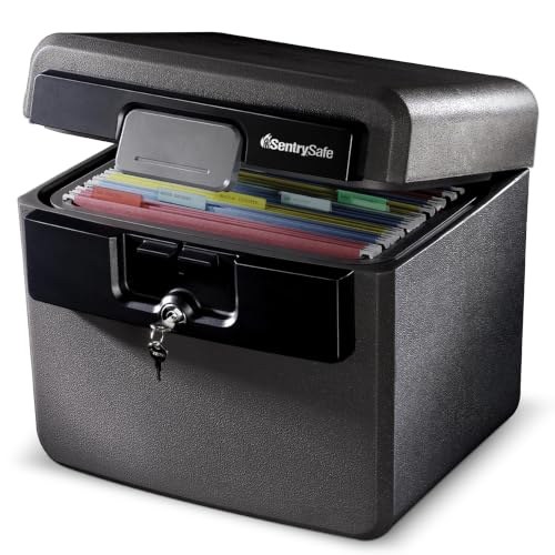 SentrySafe Fireproof Safe and Waterproof Safe, HD4100