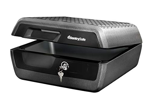 Sentry CHW30100 Fire & Water Resistant…