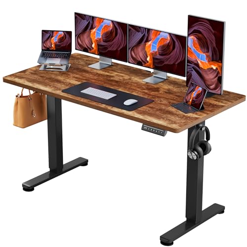 ErGear Electric Standing Desk