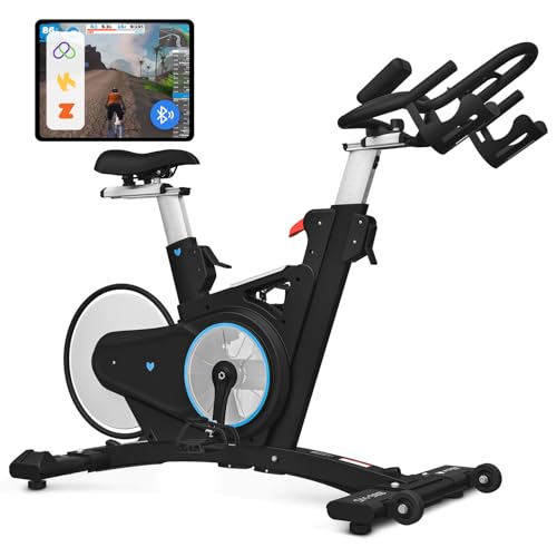 Lifespan Fitness SM900 Commercial Magnetic…