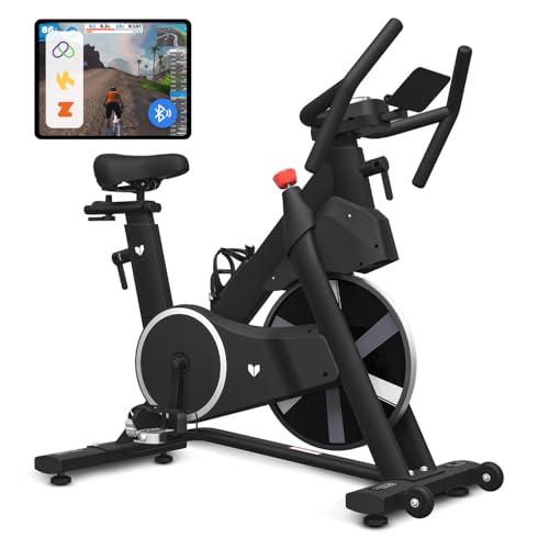 Lifespan Fitness SM-420 Spin Bike with…