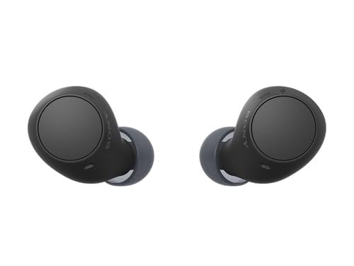 Sony WF-C510 Compact Truly Wireless Earbuds