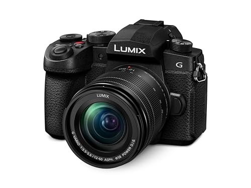 Panasonic LUMIX G97 Photo and Video Hybrid…