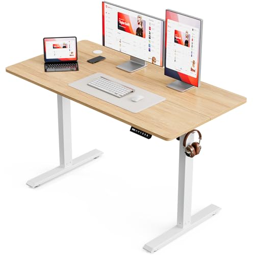 BilySen Electric Standing Desk