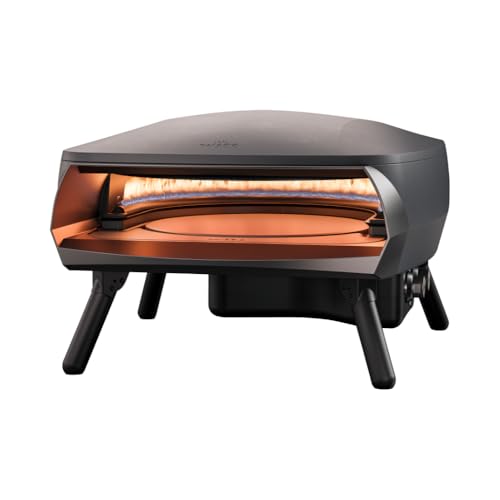 WITT Etna Rotante Gas Powered Pizza Oven…