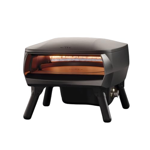 WITT Piccolo Rotante Gas Pizza Oven