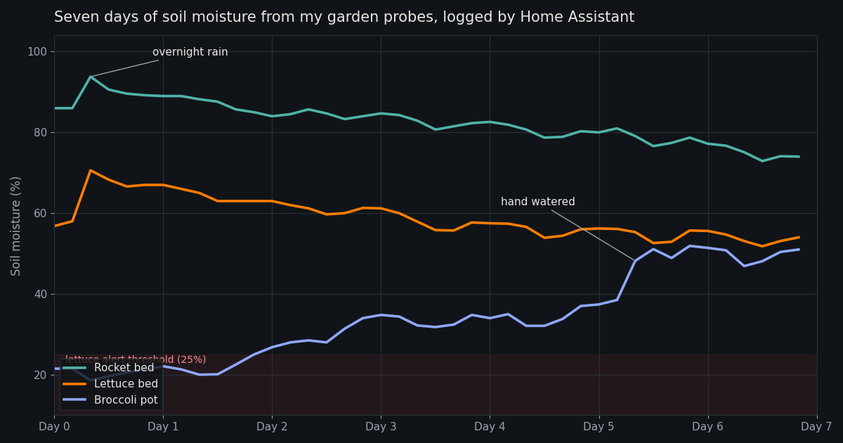 Chart of soil moisture in a rocket bed, lettuce bed and broccoli pot over seven days, logged by Home Assistant